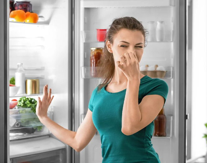 How to extend the lifespan of your refrigerator?